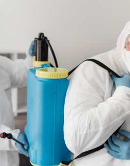 Dépotage d’un conteneur : conseils pour éliminer les résidus de fumigation